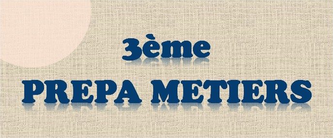 Les élèves de 3ème PREPA-METIERS font leur rentrée