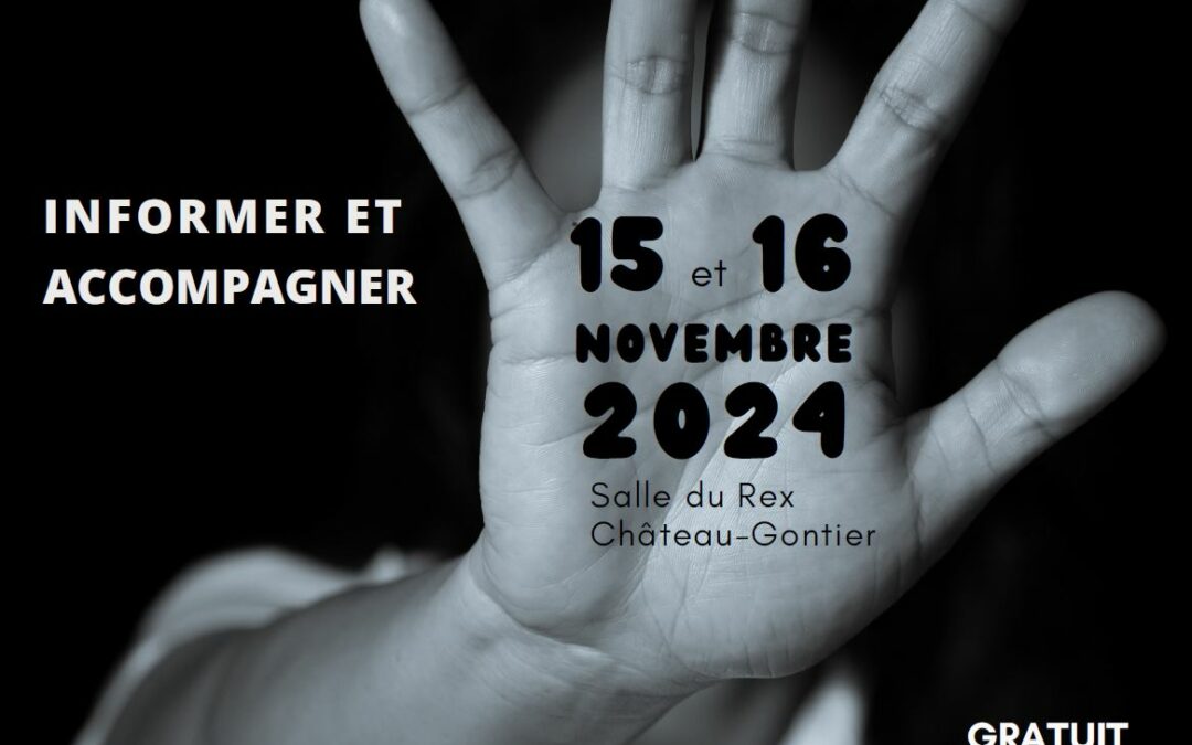 Séminaire Violences Conjugales 15 NOVEMBRE 2024